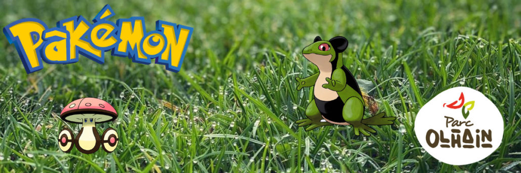 Banierepakemon