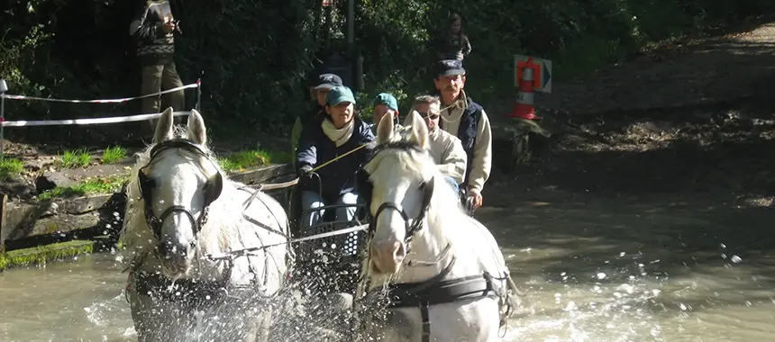 rallye equestre